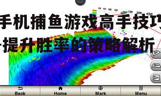 三、观察鱼群动向与规律