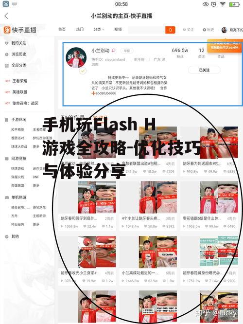 手机玩Flash H游戏全攻略-优化技巧与体验分享