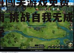 三、游戏安装与优化