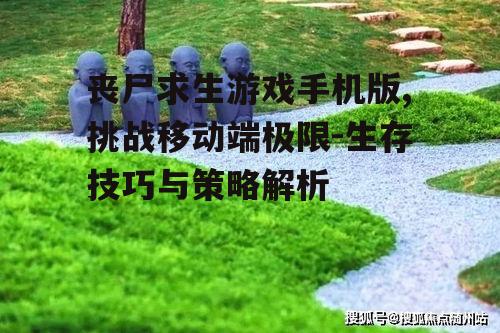 二、核心玩法解析