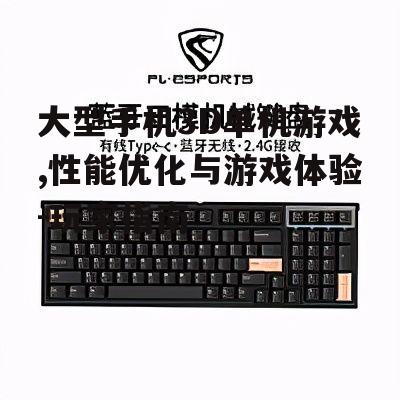 大型手机3D单机游戏,性能优化与游戏体验-玩家指南