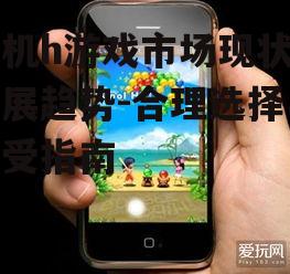 手机h游戏市场现状与发展趋势-合理选择与享受指南