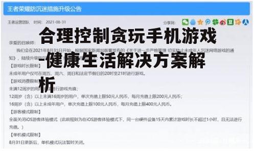 二、制定合理的游戏时间规划