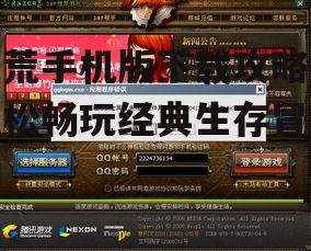 二、确认游戏版本