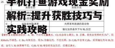 二、现金奖励机制解析