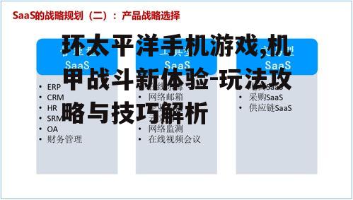 三、战斗玩法与策略分析