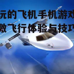 二、新型飞行游戏特点