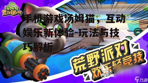 手机游戏汤姆猫，互动娱乐新体验-玩法与技巧解析