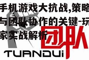 三、团队协作的技巧