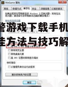 二、确认游戏版本与兼容性