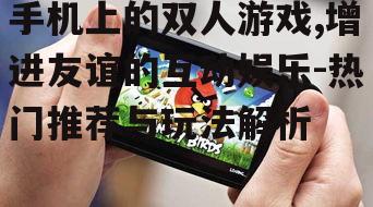 手机上的双人游戏,增进友谊的互动娱乐-热门推荐与玩法解析