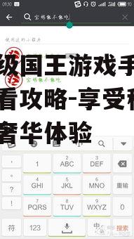超高级国王游戏手机在线观看攻略-享受移动端的奢华体验