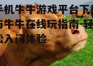 二、牛牛在线玩的优势