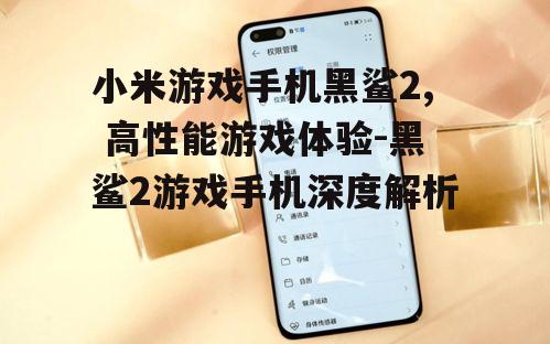三、黑鲨2的游戏体验