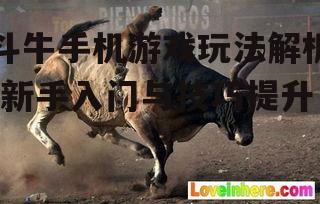 三、斗牛游戏中的技巧