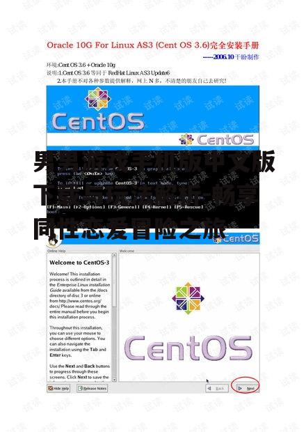 男男游戏手机版中文版下载与玩法解析-畅享同性恋爱冒险之旅