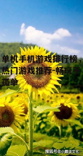 二、角色扮演类游戏:沉浸式体验,感受不同人生