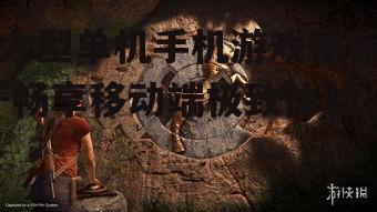 大型单机手机游戏推荐-畅享移动端极致体验
