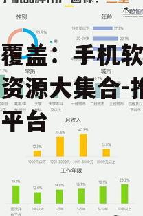 三、国内用户的宝藏库:华为应用市场