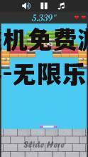 二、游戏类型与玩法介绍