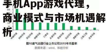 三、成功要素解析