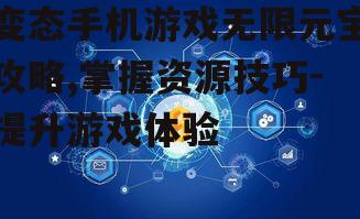 二、如何高效利用无限元宝