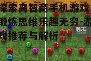 三、如何选择适合自己的高智商手机游戏