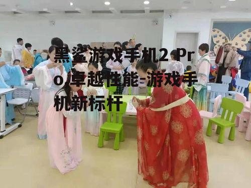 黑鲨游戏手机2 Pro,卓越性能-游戏手机新标杆