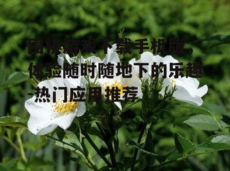 三、如何下载并安装围棋游戏
