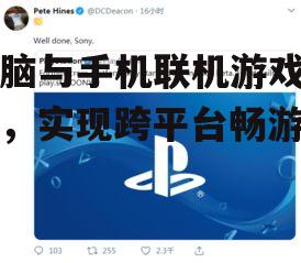 电脑与手机联机游戏攻略，实现跨平台畅游