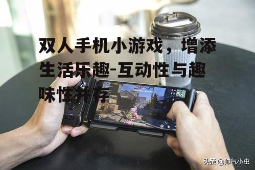 双人手机小游戏，增添生活乐趣-互动性与趣味性并存