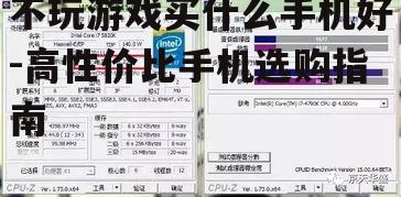 二、处理器选择