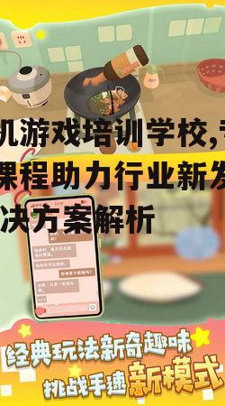 二、手机游戏培训学校的教学模式