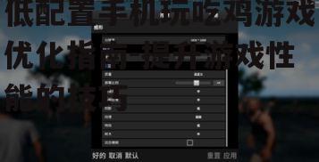 低配置手机玩吃鸡游戏优化指南-提升游戏性能的技巧