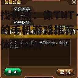 三、如何选择适合自己的TNT游戏