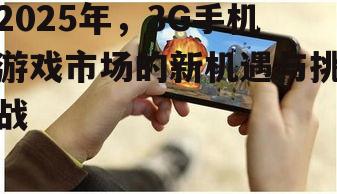 三、3G手机游戏市场挑战