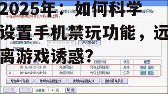 2025年：如何科学设置手机禁玩功能，远离游戏诱惑？