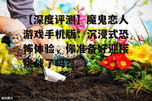 二、玩法特点与操作体验