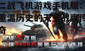 1. 《二战风云:空中战争》