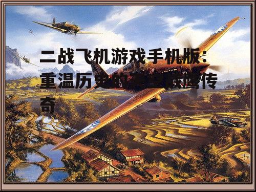 2. 《空中霸主:二战飞鹰》