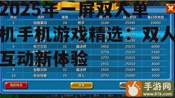 2025年一屏双人单机手机游戏精选:双人互动新体验