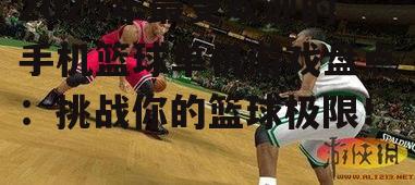 三、篮球休闲游戏:轻松愉悦的篮球时光