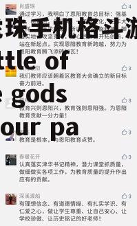 副标题2:不容错过的精彩特色