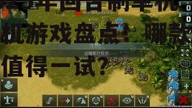 三、策略性十足:《战争艺术:赤壁之战》