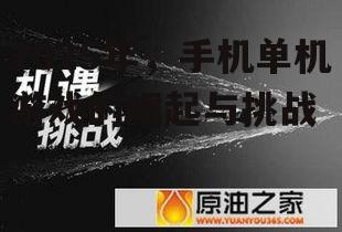 三、挑战与机遇并存