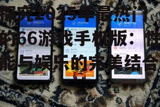 探究2025年最热门的66游戏手机版:性能与娱乐的完美结合