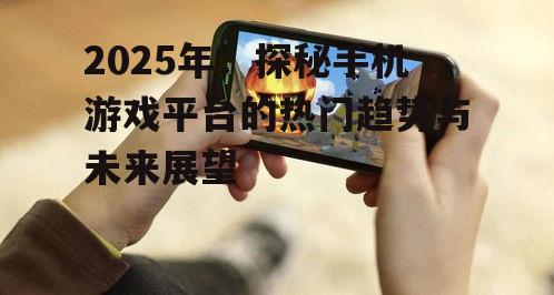二、新兴手机游戏平台崛起