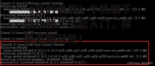 三、游戏安装与启动