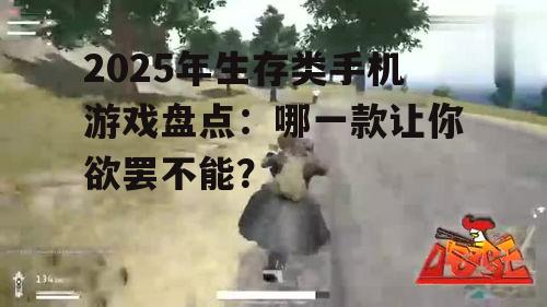 2. 极限挑战:《绝地求生》