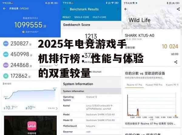 副标题：续航能力最强：黑鲨4 Pro